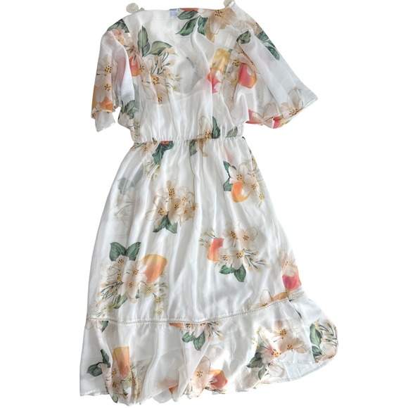 Farm Rio Anthropologie Eloisa Floral Midi Dress Sheer Chiffon Small - Picture 9 of 10